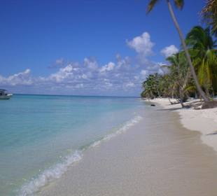 Insel Saona, ein Traum