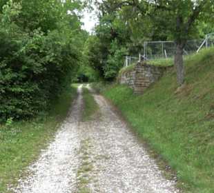 Wanderweg - Alter Steinbruch Pfaffenberg Runde