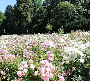 Łazienki królewskie, park