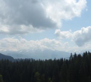 Wanderung am Pfänder