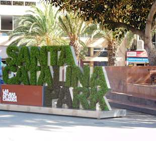 Nahegelegene Park (St. Catalina)