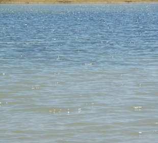 Strand von Bibione 06-2010