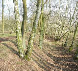 Wunderschöne Boberger Niederung