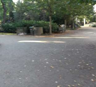 Dorotheenstädtischer Friedhof