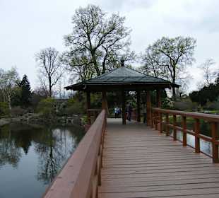 Mostek w Ogrodzie Japońskim