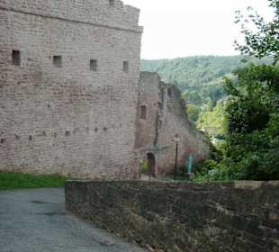Burg Wertheim