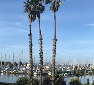 Yachthafen Berkeley 