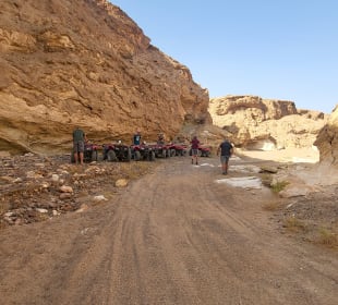 Quad Tour Marsa Alam