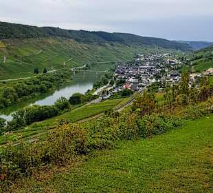Wandern Pünderich