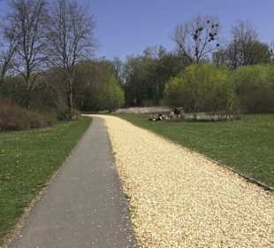 Sport- und Freizeitpark Markwasen