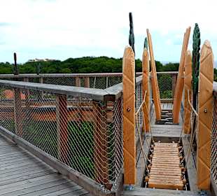 Baumwipfelpfad Usedom
