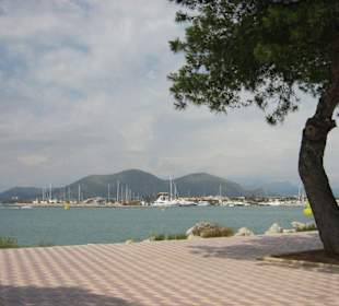 Port de Alcudia