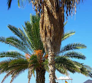 Strand Kleopatra/Strandpromenade