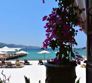 Aussicht von der Kleopatra Bar