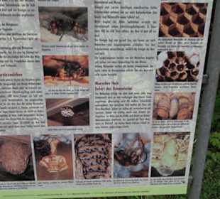 Naturinfopfad Weggental