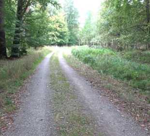 Altwege Rundwanderung Bebenhausen