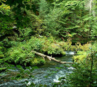 Flusslandschaft in der Stillen Klamm