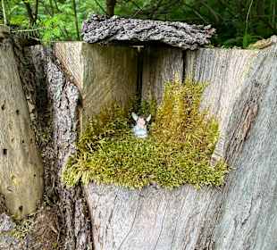 Wandern Verwall St. Anton am Arlberg