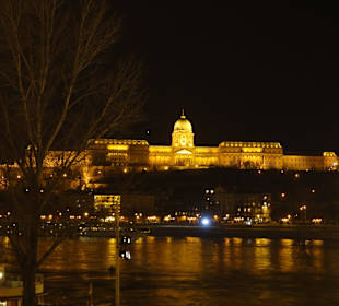 Burgberg/ Burgpalast 