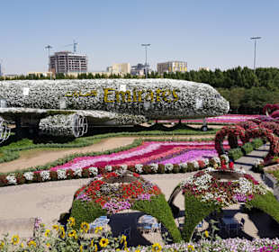 Miracle Garden Emirates