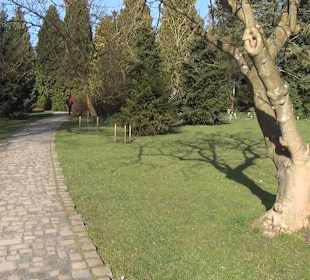 Botanischer Garten - Rombergpark