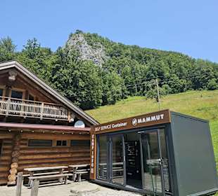 Hofstadl