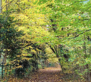 Idyllischer Wanderweg