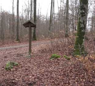 Wildpark Eichert