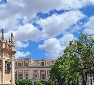 Plaza del Triunfo in Sevilla