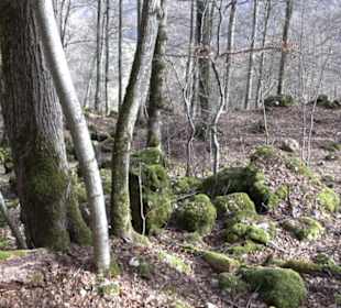 Wasserfallsteig