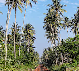 Zugfahrt im Hochland