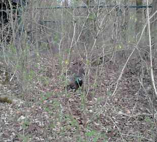 Tierpark Hellabrunn in München