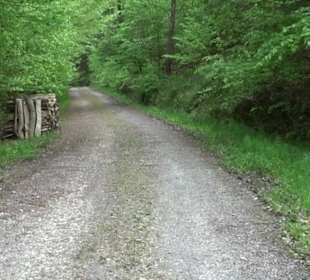 Naturpark Schönbuch