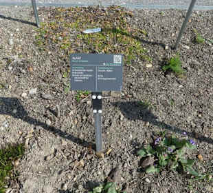 Erläuterungen der Kräuter