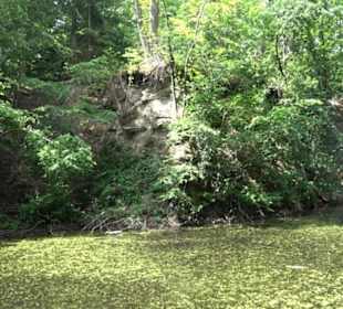 Wanderweg - Alter Steinbruch Pfaffenberg Runde