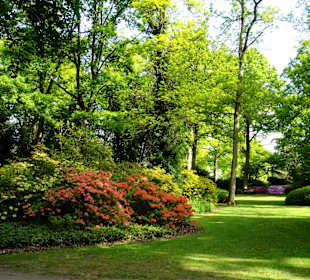 Spaziergang durch den Rhododendronpark im Mai