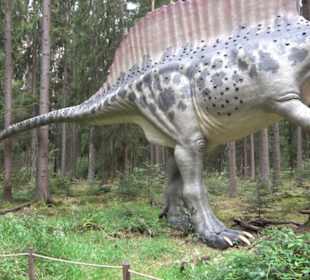 Dinosaurier Museum Altmühltal