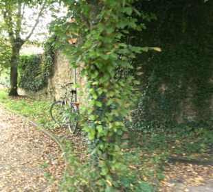 Altwege Rundwanderung Bebenhausen