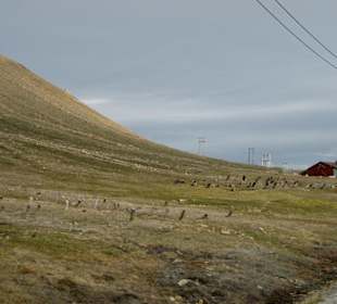 Alt-Longyearbyen