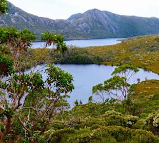 Cradle Mountain-Lake St.Clair NP - Lake Lilla