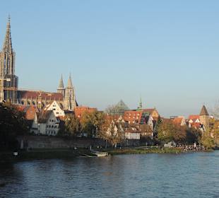 Blick über die Donau aufs Ulmer Münster