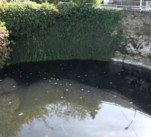 Brunnenhaus Upfingen