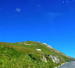 Hier noch Begrünung