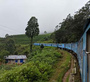 Hochland von Sri Lanka