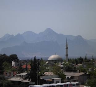 Ausblick von Straßenbahnendstation