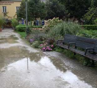 Alter Botanischer Garten München