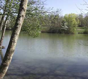 Sport- und Freizeitpark Markwasen