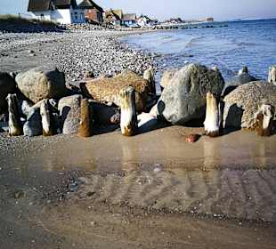 Hundestrand Heiligenhafen