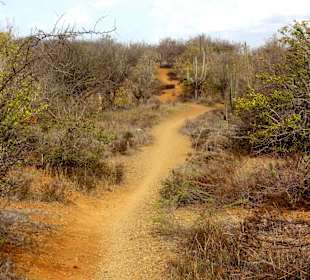 Der Trail zu den Salinen