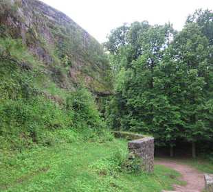Die Wegelnburg